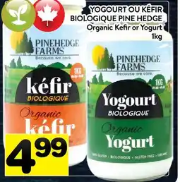 Supermarché PA YOGOURT OU KÉFIR BIOLOGIQUE PINE HEDGE offer