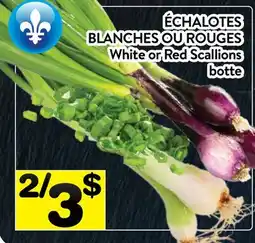 Supermarché PA ÉCHALOTES BLANCHES OU ROUGES offer