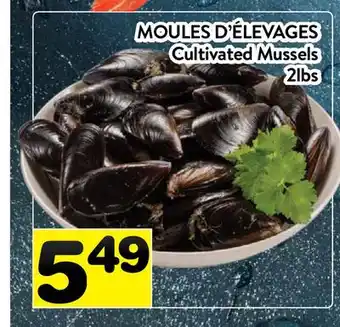 Supermarché PA MOULES D'ÉLEVAGES | Cultivated Mussel offer