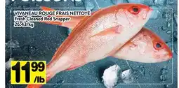 Supermarché PA VIVANEAU ROUGE FRAIS NETTOYÉ | Fresh Cleaned Red Snapper offer