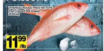 Supermarché PA VIVANEAU ROUGE FRAIS NETTOYÉ | Fresh Cleaned Red Snapper offer