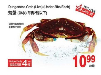 T&T Supermarket Dungeness Crab (Live) (Under 2lbs Each) offer