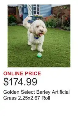 Costco Golden Select Barley Artificial Grass 2.25x2.67 Roll offer