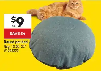 Giant Tiger Round pet bed offer