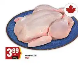 Marché Adonis WHOLE CHICKEN HALAL offer