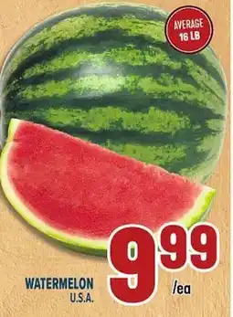 Marché Adonis WATERMELON offer
