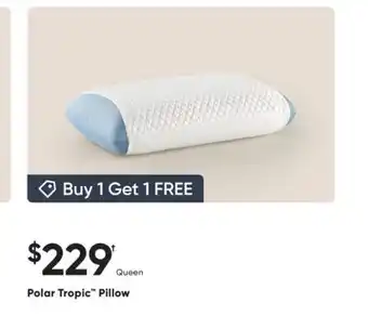 Sleep Country Polar Tropic Pillow offer