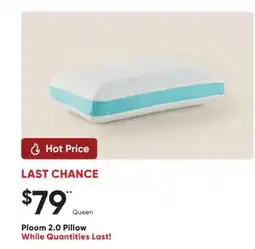 Sleep Country Ploom 2.0 Pillow offer