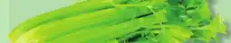 IGA CELERY offer