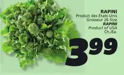 IGA RAPINI offer