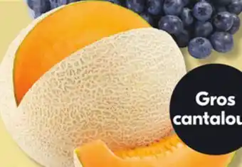 IGA CANTALOUPE offer