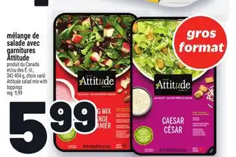Metro MÉLANGE DE SALADE AVEC GARNITURES ATTITUDE | ATTITUDE SALAD MIX WITH TOPPINGS offer