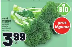 Metro BROCCOLI BIOLOGIQUE | ORGANIC BROCCOLI offer