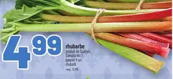 Metro RHUBARBE | RHUBARB offer