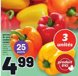 Metro POIVRONS DE SERRE DE COULEURS VARIÉES | HOTHOUSE ASSORTED COLORS PEPPERS offer