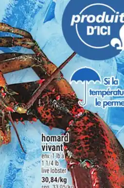 Metro HOMARD VIVANT | LIVE LOBSTER offer