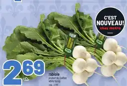 Metro RABIOLE | WHITE TURNIP offer