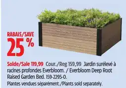 Canadian Tire Everbloom Deep Root Raised Garden Bed offer