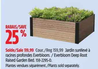 Canadian Tire Everbloom Deep Root Raised Garden Bed offer