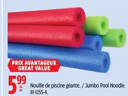 Canadian Tire Jumbo Pool Noodle offer