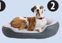Canadian Tire Petco Selected Pet Beds or Cat Tree offer