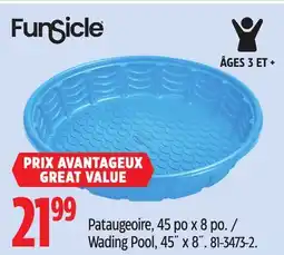 Canadian Tire Funsicle Wading Pool, 45˝ x 8˝ offer