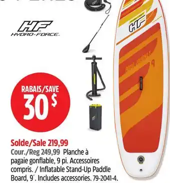 Canadian Tire Inflatable Stand-Up Paddle Board, 9 offer