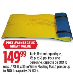 Canadian Tire 71⁄2-ft x 36-in Water Floating Mat offer