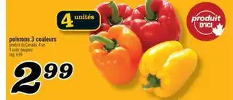 Marché Richelieu POIVRONS 3 COULEURS | 3 COLOR PEPPERS offer