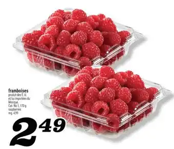 Marché Richelieu framboises | raspberries offer