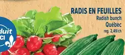 Marché Adonis RADIS EN FEUILLES | Radish bunch offer