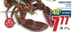 Marché Adonis HOMARD VIVANT | LIVE LOBSTER offer
