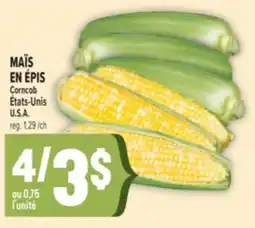 Marché Adonis MAÏS EN ÉPIS | Corncob offer