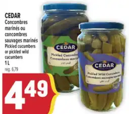 Marché Adonis CEDAR MARINÉS OU CONCOMBRES SAUVAGES MARINÉS | CEDAR PICKLED CUCUMBERS OR PICKLED WILD CUCUMBERS offer