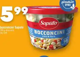 Marche Ami BOCCONCINI SAPUTO offer