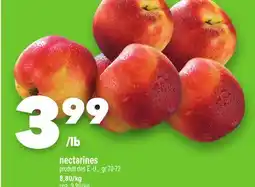 Marche Ami NECTARINES offer