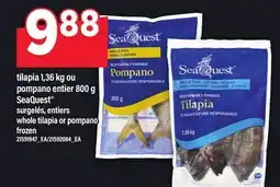 Maxi TILAPIA 1,36 KG OU POMPANO ENTIER 800 G SEAQUEST | WHOLE TILAPIA OR POMPANO offer