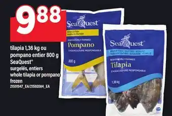 Maxi TILAPIA 1,36 KG OU POMPANO ENTIER 800 G SEAQUEST | WHOLE TILAPIA OR POMPANO offer