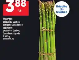 Maxi ASPERGES | ASPARAGUS offer