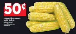 Maxi MAÏS SUCRÉ DEUX COULEURS | SWEET BICOLOUR CORN offer