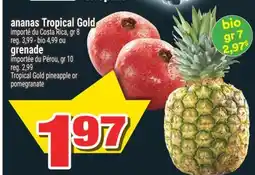 Super C ananas Tropical Gold importé du Costa Rica, gr 8, grenade importée du Pérou, gr 10 offer