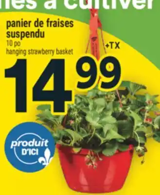 Super C panier de fraises suspendu | hanging strawberry basket offer