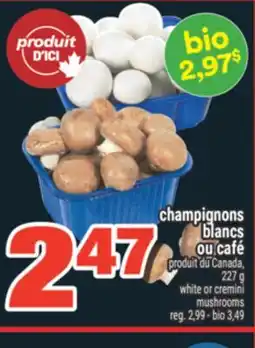 Super C champignons blancs ou café | white or cremini mushrooms offer
