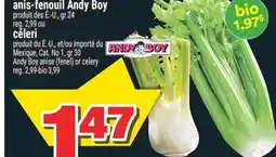 Super C anis-fenouil Andy Boy céleri | Andy Boy anise (fenel) or celery offer