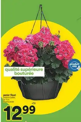 Super C panier fleuri | blooming basket offer