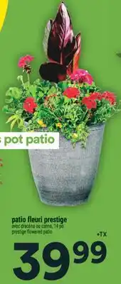 Super C patio fleuri prestige | prestige flowered patio offer