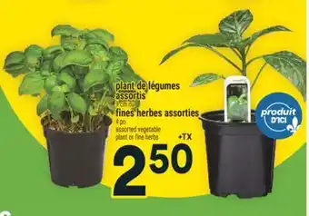 Super C plant de légumes assortis, fines herbes assorties | assorted vegetable plant or fine herbs offer