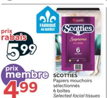 Brunet SCOTTIES Papiers mouchoirs sélectionnés offer