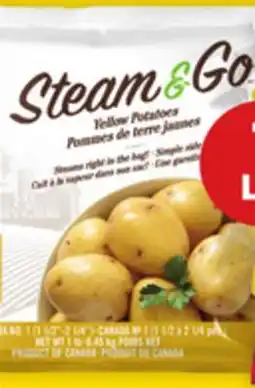 Giant Tiger Yellow Potatoes offer