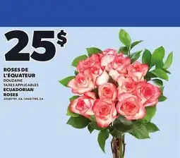 Provigo ROSES DE L'ÉQUATEUR offer